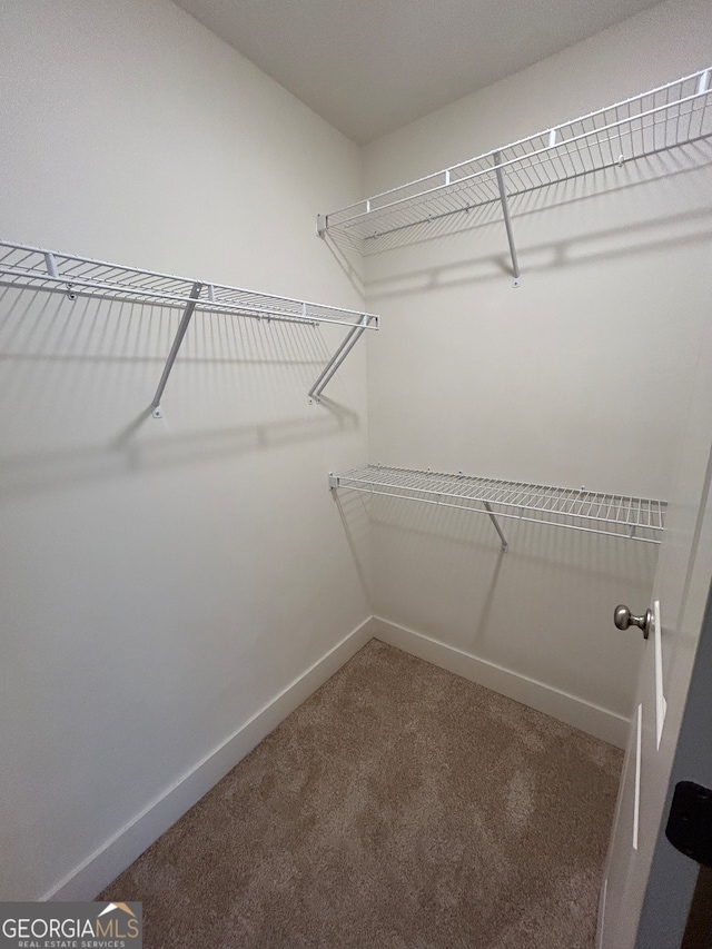 walk in closet featuring carpet