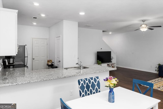 interior space with dark hardwood / wood-style flooring, ceiling fan, and sink