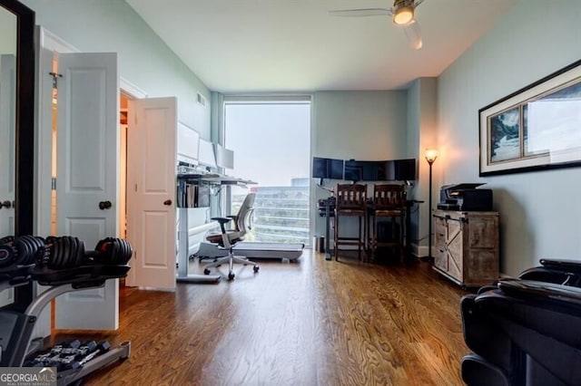 interior space featuring ceiling fan and dark wood-type flooring