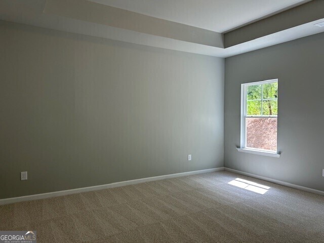 unfurnished room featuring carpet