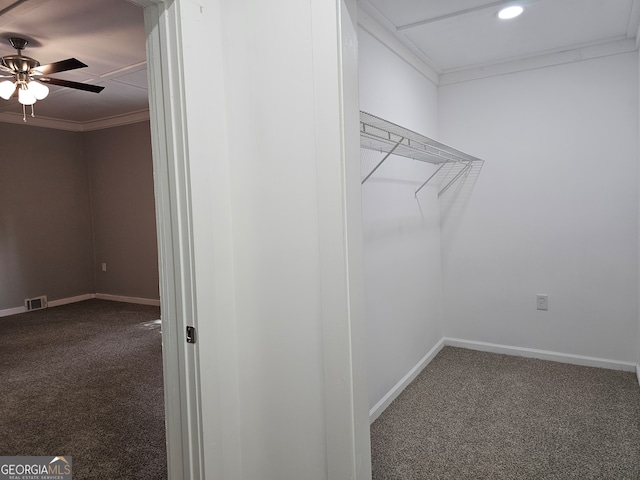 walk in closet with carpet flooring and ceiling fan