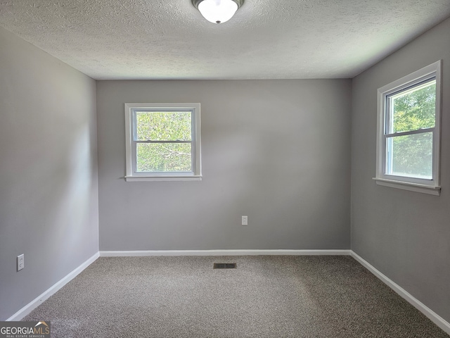 empty room featuring carpet, a textured ceiling, and plenty of natural light