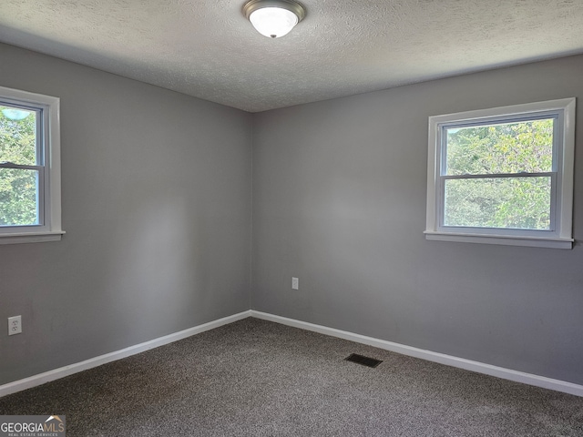 carpeted empty room featuring a wealth of natural light and a textured ceiling