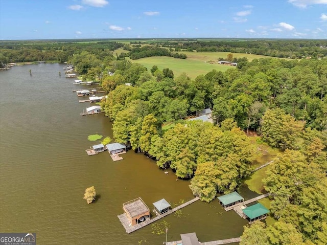 bird's eye view featuring a water view