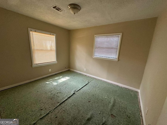 carpeted spare room featuring a textured ceiling and a wealth of natural light