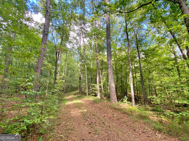 152AC Whitepath Rd, Ellijay GA, 30540 land for sale