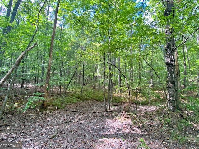 Listing photo 2 for 152AC Whitepath Rd, Ellijay GA 30540