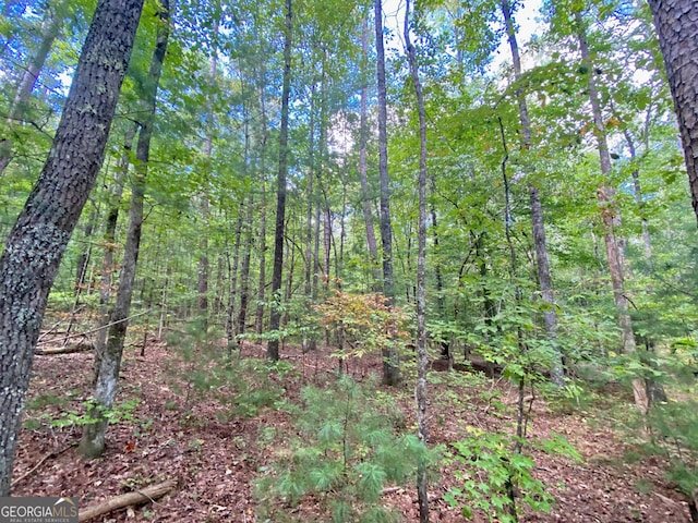 Listing photo 3 for 152AC Whitepath Rd, Ellijay GA 30540