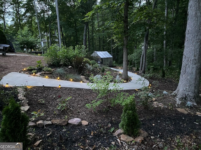 view of yard with a storage shed