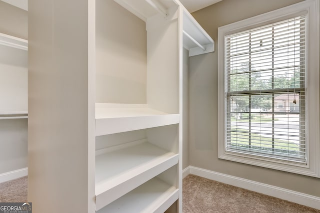 spacious closet featuring carpet flooring