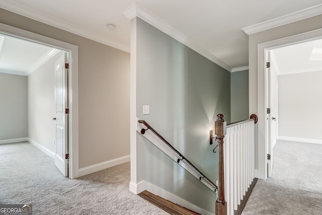 corridor with ornamental molding and carpet floors