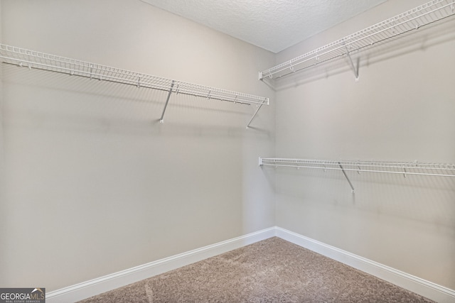 walk in closet with carpet floors