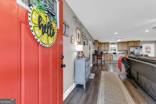 entrance foyer with dark hardwood / wood-style floors