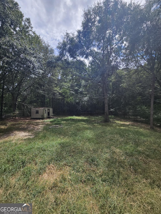 view of yard with a shed