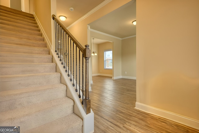 staircase featuring crown molding and hardwood / wood-style flooring