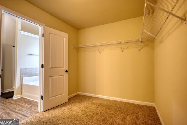 walk in closet with carpet