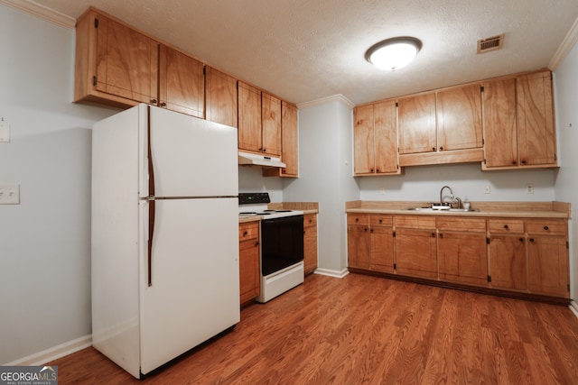 kitchen featuring a textured ceiling, light hardwood / wood-style flooring, sink, and white appliances