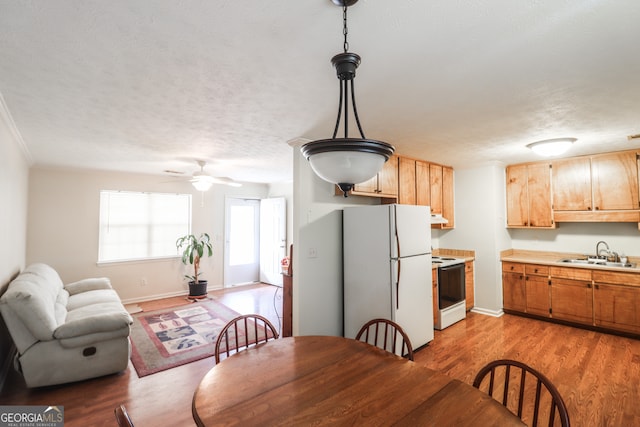 dining space with light wood-type flooring, a textured ceiling, sink, and ceiling fan