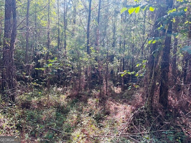 0 County Road 235, Leesburg, AL 35983
