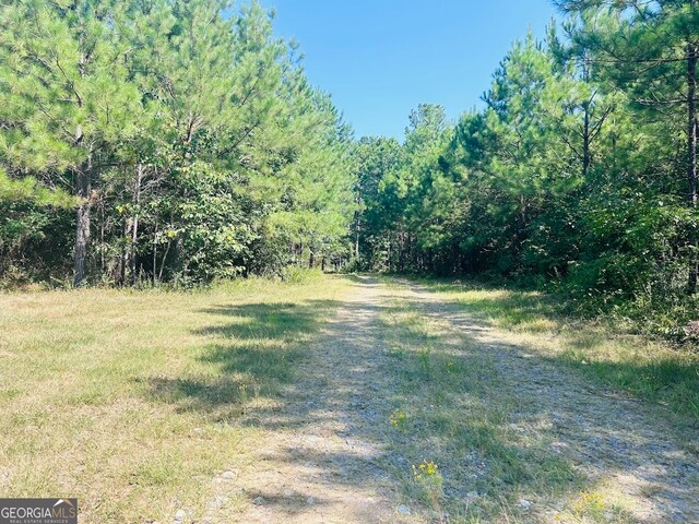 0 County Road 235, Leesburg, AL 35983