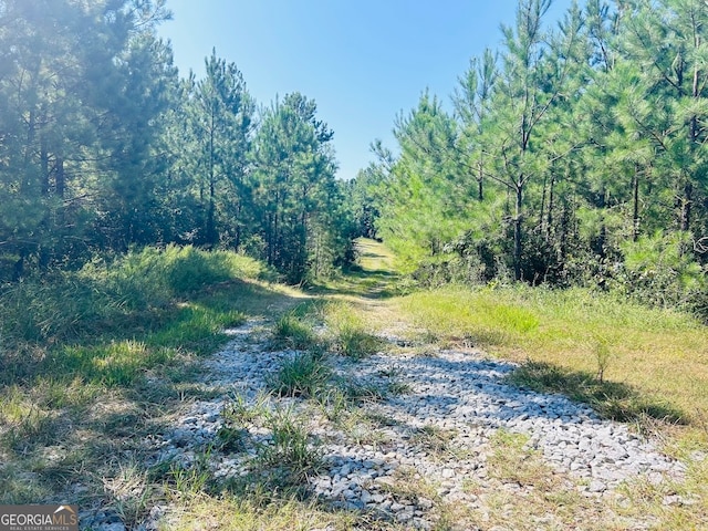 0 County Road 235, Leesburg, AL 35983