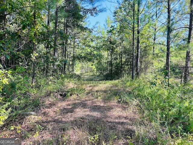 0 County Road 235, Leesburg, AL 35983