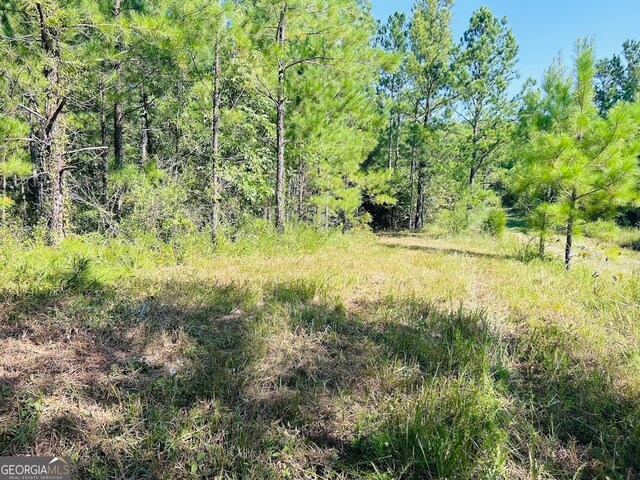 0 County Road 235, Leesburg, AL 35983