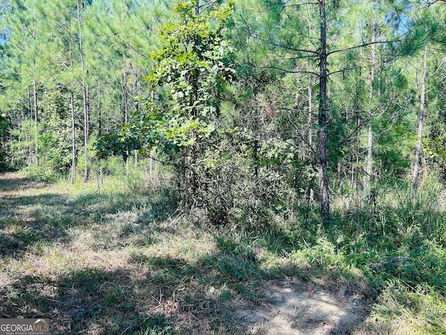 0 County Road 235, Leesburg, AL 35983