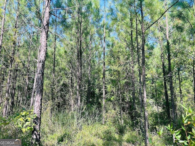 0 County Road 235, Leesburg, AL 35983