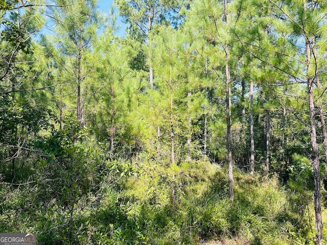 0 County Road 235, Leesburg, AL 35983