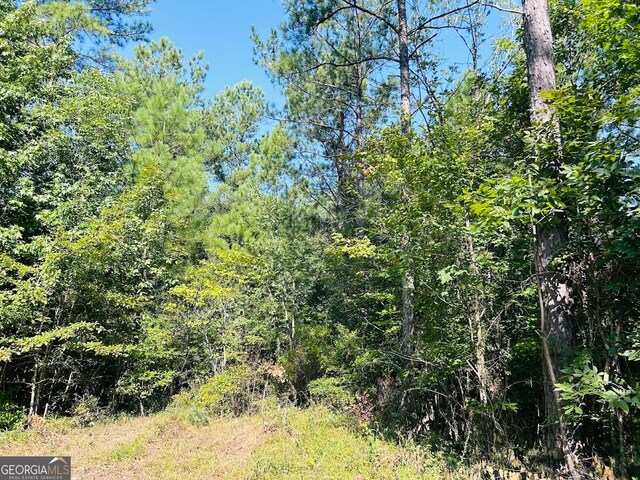 0 County Road 235, Leesburg, AL 35983