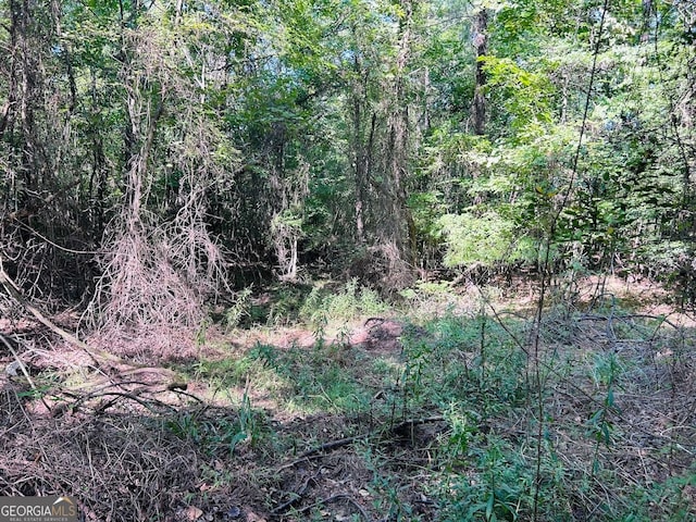 0 County Road 235, Leesburg, AL 35983