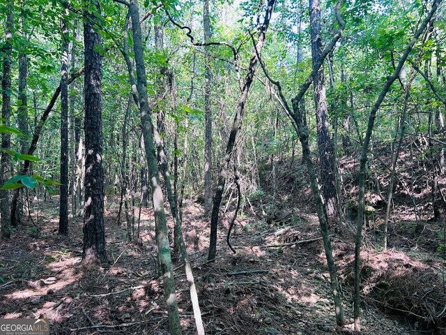 0 County Road 235, Leesburg, AL 35983