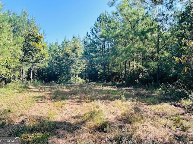 0 County Road 235, Leesburg, AL 35983