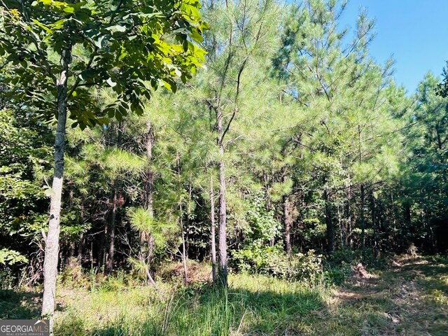 0 County Road 235, Leesburg, AL 35983