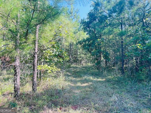 0 County Road 235, Leesburg, AL 35983
