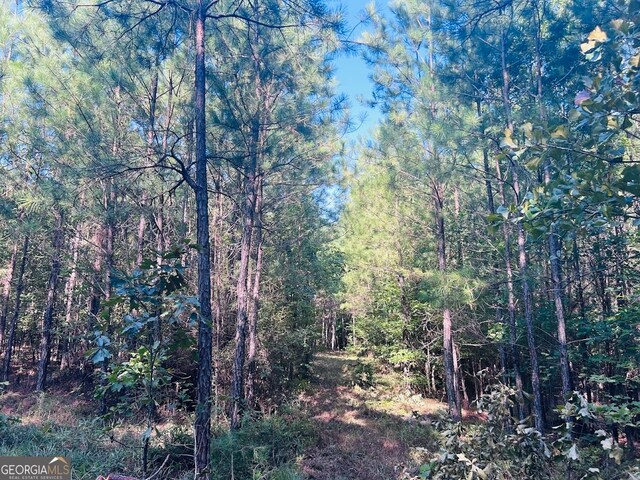 0 County Road 235, Leesburg, AL 35983