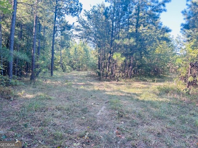 0 County Road 235, Leesburg, AL 35983