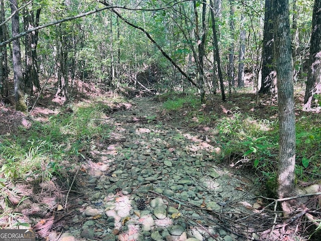 0 County Road 235, Leesburg, AL 35983