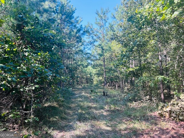 0 County Road 235, Leesburg, AL 35983