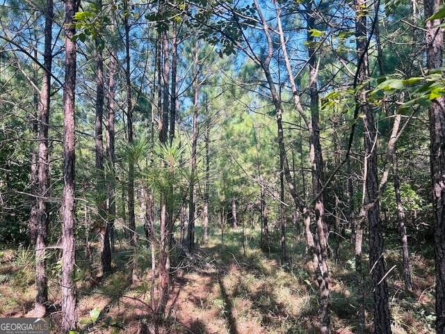 0 County Road 235, Leesburg, AL 35983