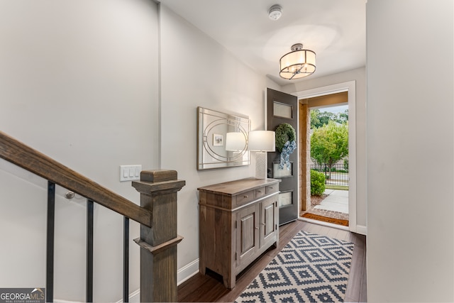 entrance foyer featuring dark hardwood / wood-style flooring