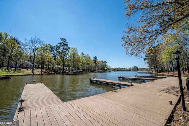 dock area featuring a water view