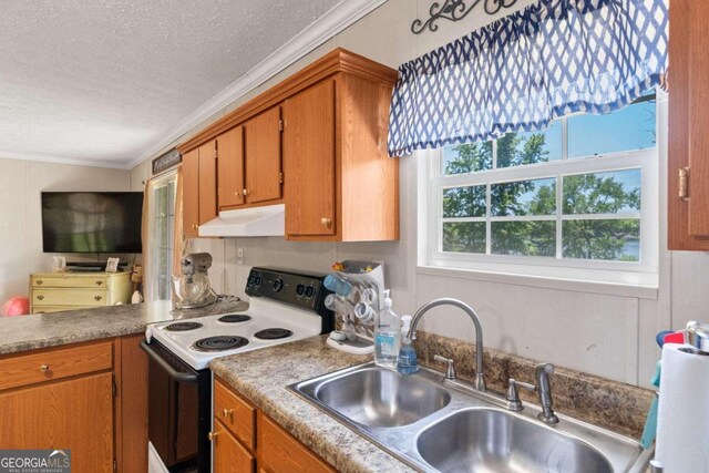 kitchen featuring white range with electric cooktop, a textured ceiling, ornamental molding, and sink