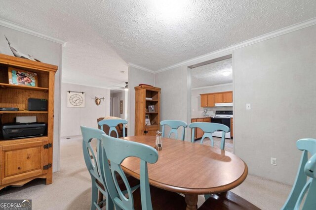 carpeted dining area featuring ceiling fan, crown molding, and a textured ceiling