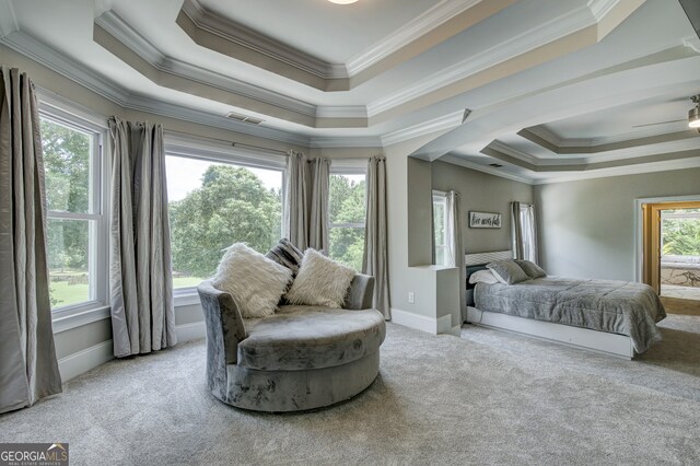 carpeted bedroom featuring a raised ceiling and crown molding