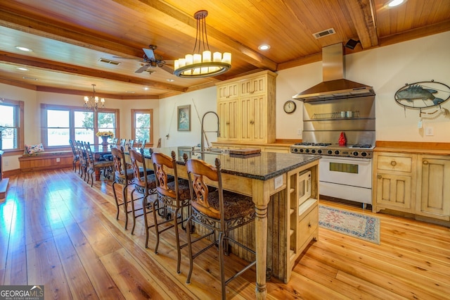 kitchen featuring ventilation hood, white appliances, light hardwood / wood-style floors, and hanging light fixtures