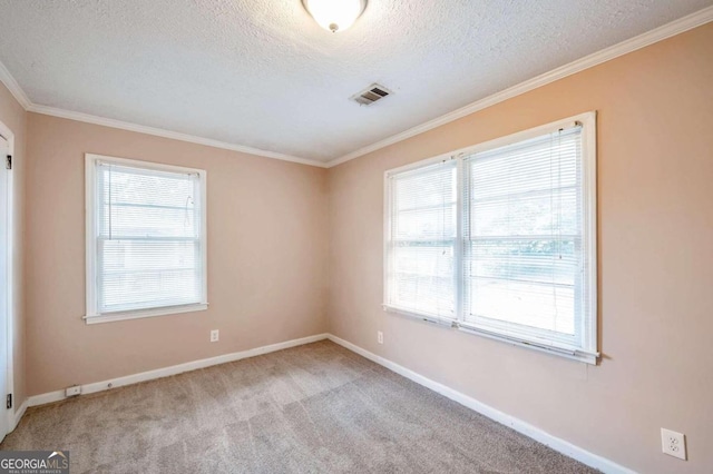 carpeted empty room featuring ornamental molding, a textured ceiling, and plenty of natural light