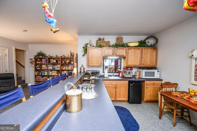 kitchen featuring black dishwasher and sink