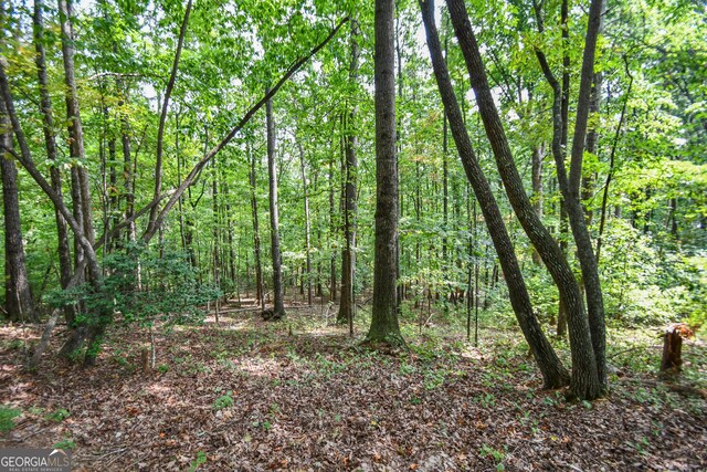 view of local wilderness